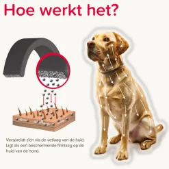 Beaphar Canishield Anti Vlooien en Tekenband Hond S - M 48 cm