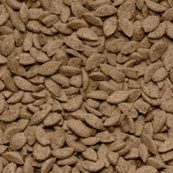 Beaphar Care+ Chinchilla 1,5 kg