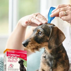 Beaphar Combotec Anti Teken- en Vlooiendruppels Hond 20-40 kg 2 pipetten
