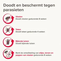 Beaphar Combotec Anti Vlooien en Teken Druppels Hond 10-20 kg 2 pipetten