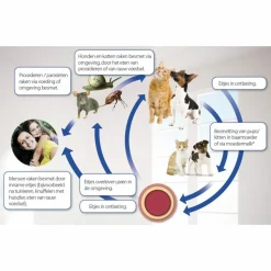 Beaphar Milquestra Ontworming Tabletten Kat 2 - 12 kg 4 tabletten