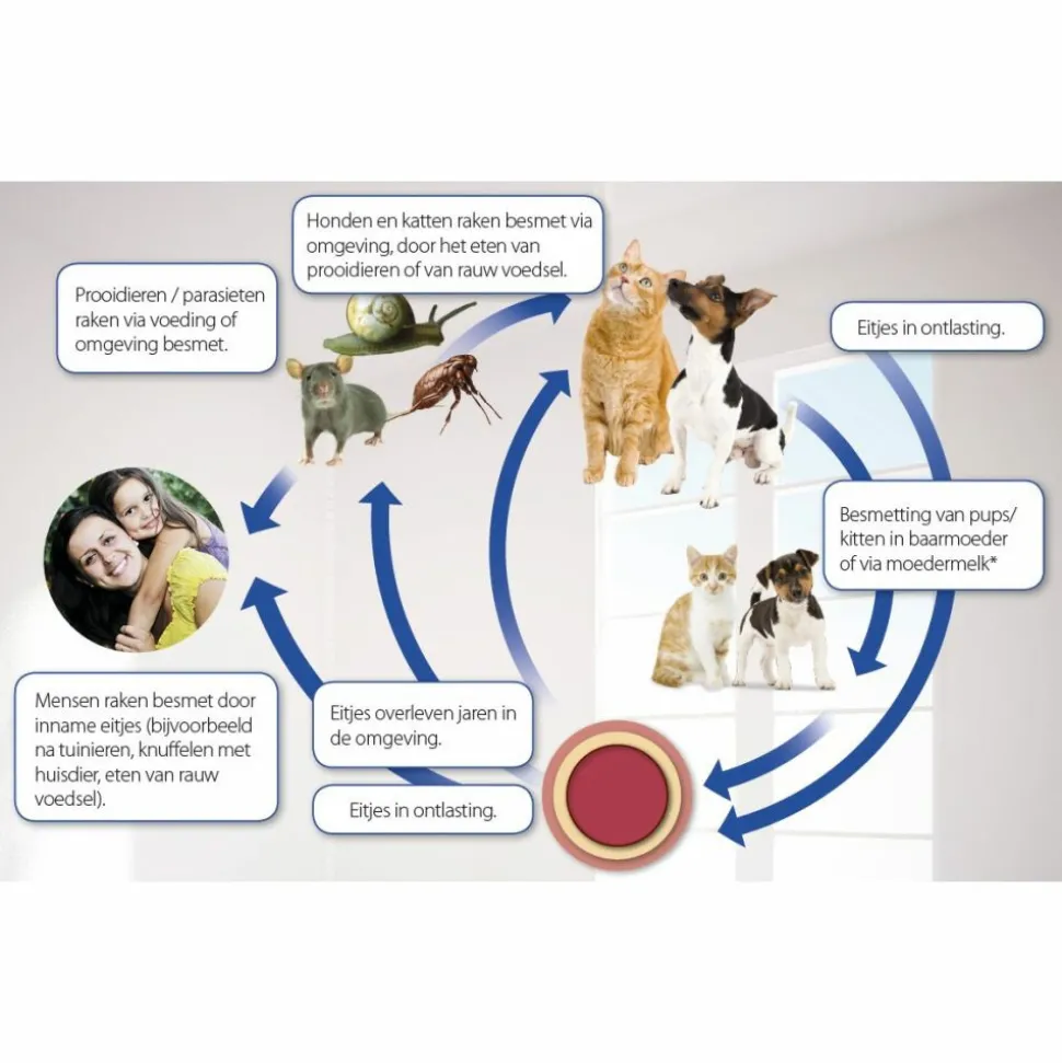 Beaphar Milquestra Ontworming Tabletten Hond 5 - 50 kg 2 tabletten