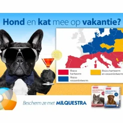 Beaphar Milquestra Ontworming Tabletten Kat 0,5 - 4 kg (ook kitten) 2 tabletten