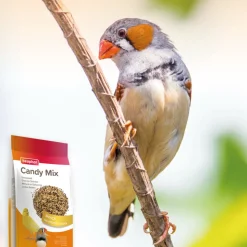 Beaphar Snoepzaad Snoepzaad 150 gr