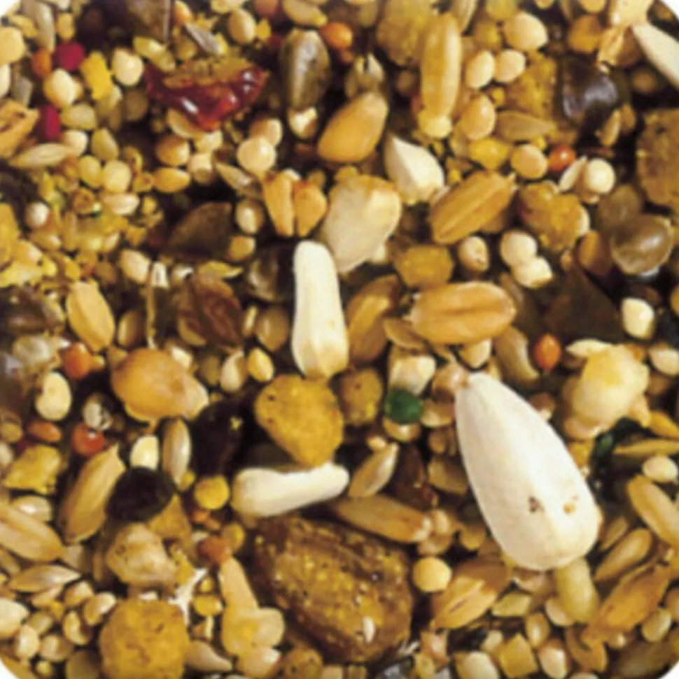 Beaphar XtraVital Grote Parkiet 1 kg