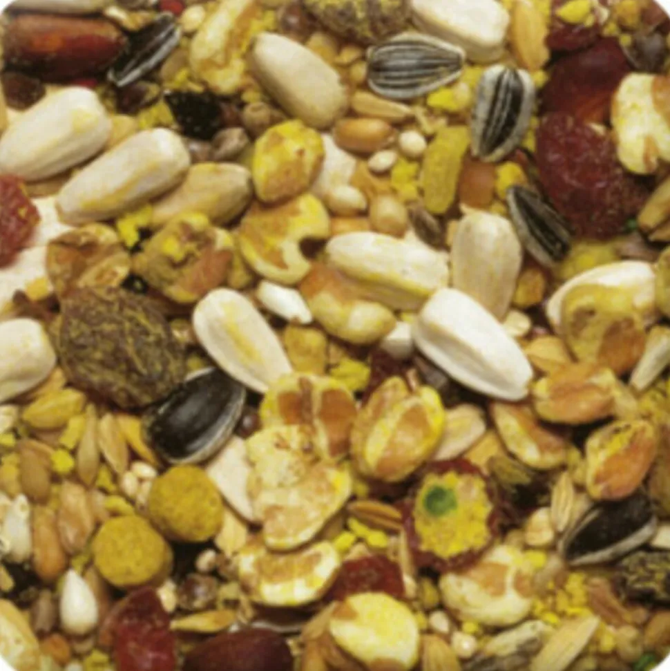 Beaphar XtraVital Papegaai 1 kg