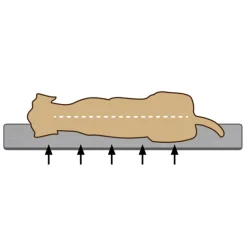 Beeztees Orthopedisch Benchkussen Ito Grijs 78 x 55 cm