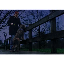 Beeztees Safety Gear Halsband +USB Dogini Blauw 70 x 10 cm