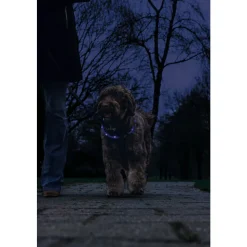 Beeztees Safety Gear Halsband +USB Dogini Blauw 70 x 10 cm