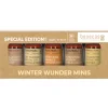 Benecos Giftset Bio Mini Winter Wonder 1 set