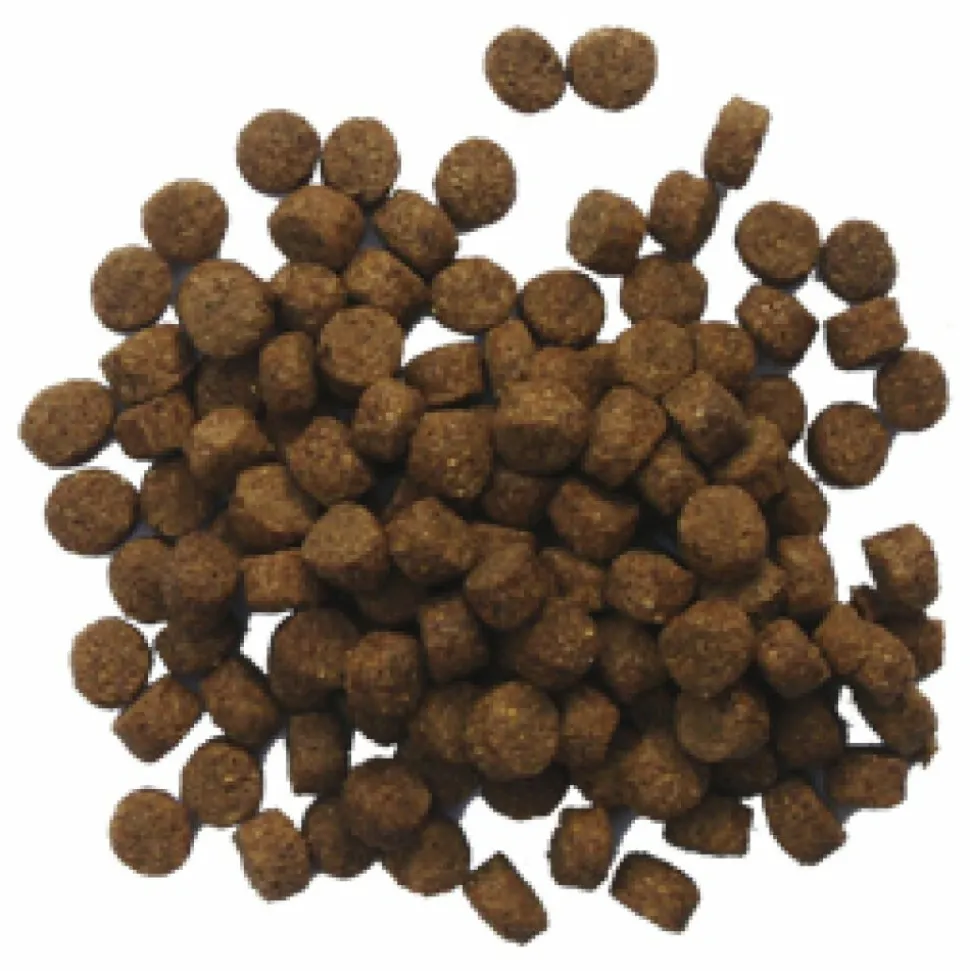BF Petfood Krokant Hondenvoer 12,5 kg