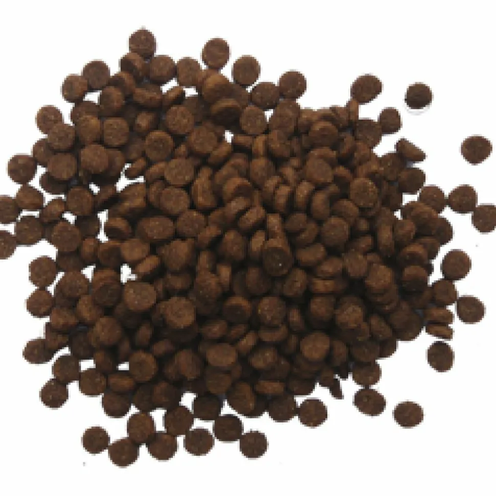 BF Petfood Puppy Hondenvoer 3 kg