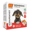 BF Petfood Schapenvet Bonbons Mini Zalm 80 stuks