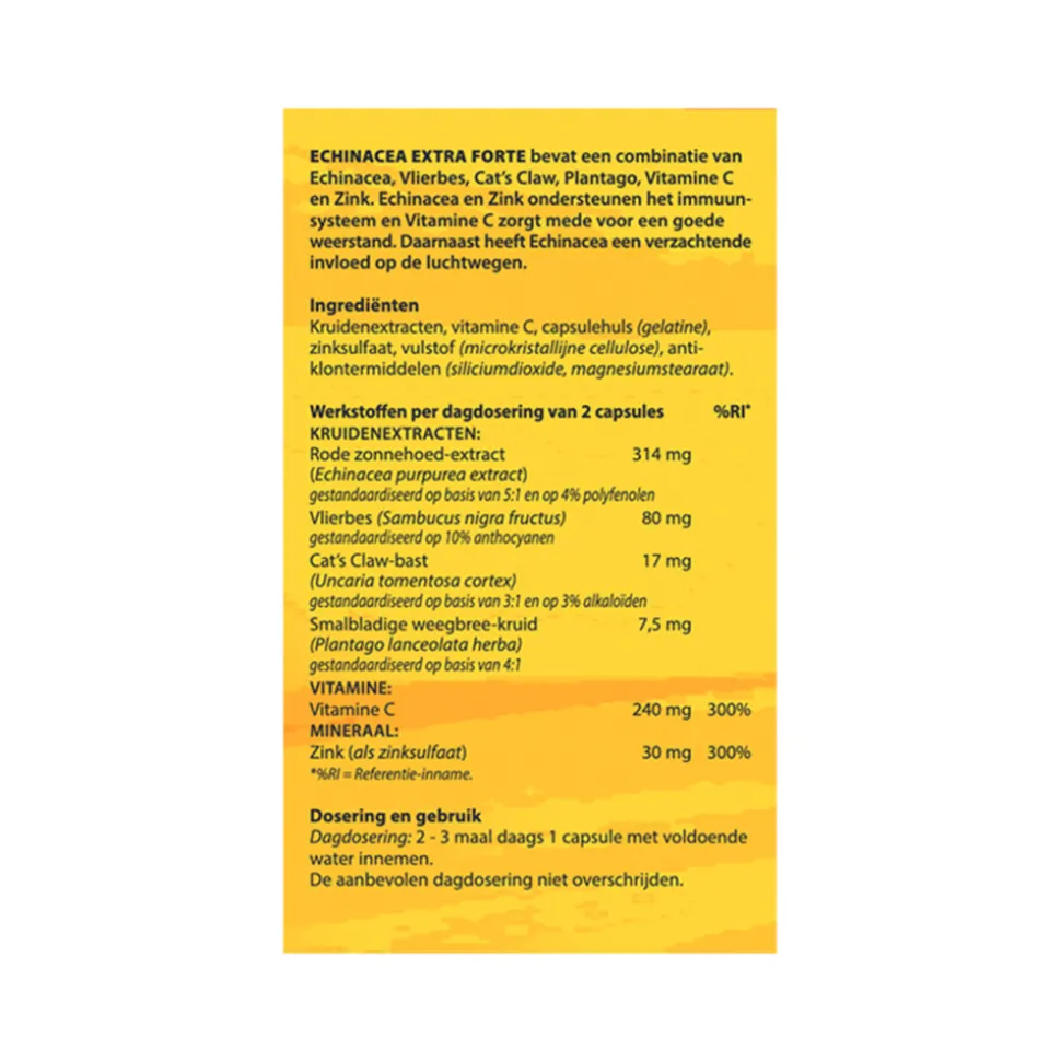 Bloem Echinacea 60 capsules