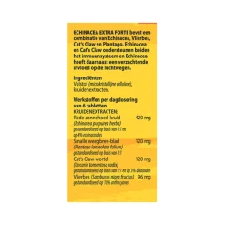 Bloem Echinacea 100 tabletten