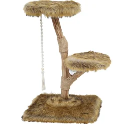 Boony Est 1941 Klimboom Prunus Grizzly Bruin 85 cm