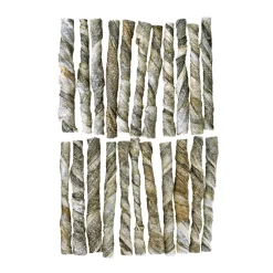 Braaaf Rol Sticks Hondensnack Zalm 12 cm 175 gr