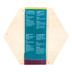 Bûten Home Insectenkast Hexagon Insecten