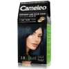 Cameleo Haarverf Blauw Zwart Kleuring 2.0