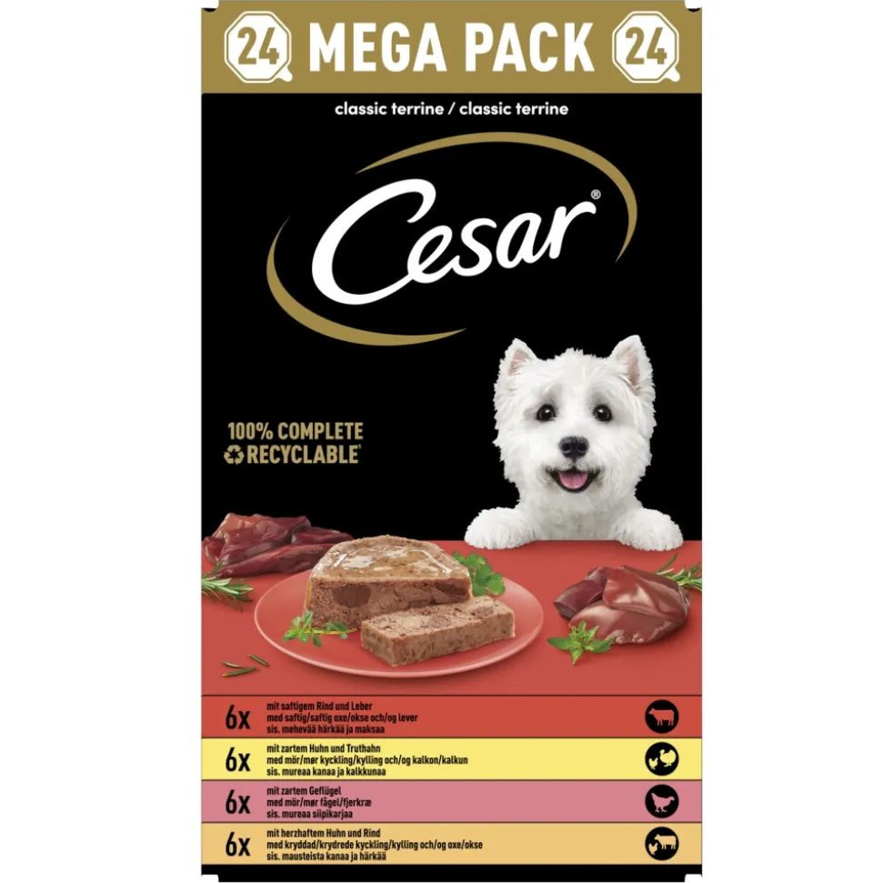 Cesar Alu Hondenvoer Multi-pack Kuipje Classic in Pate 24 x 150 gr