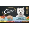 Cesar Senior 10+ in Gelei 600 gr