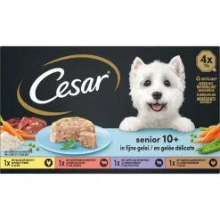 Cesar Senior 10+ in Gelei 600 gr
