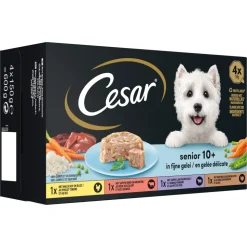 Cesar Senior 10+ in Gelei 600 gr