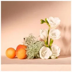 Chloe Nomade Eau de Parfum 30 ml