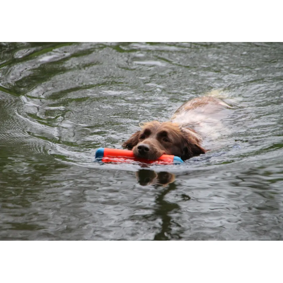 Chuckit Amphibious Bumper Small