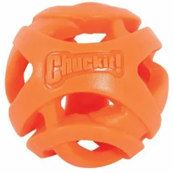 Chuckit Breathe Right Fetch Ball Medium ø 6 cm