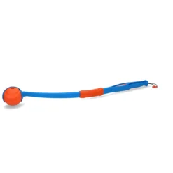 Chuckit Fetch & Fold Launcher