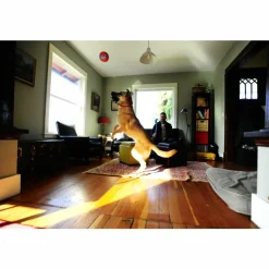 Chuckit Indoor Ball ø 12 cm