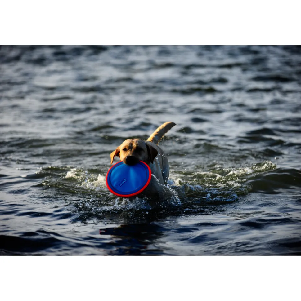 Chuckit Paraflight Large