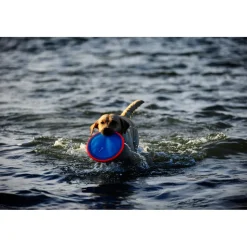 Chuckit Paraflight Small