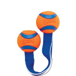 Chuckit Ultra Duo Tug Medium 6 cm