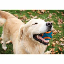 Chuckit Ultra Squeaker Ball Medium ø 6 cm 2 stuks