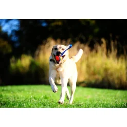 Chuckit Ultra Tug Small 5 cm