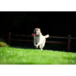 Chuckit Ultra Tug Small 5 cm