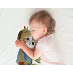 Clementoni Knuffel in Doos Dog