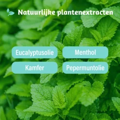 Dampo Inhaler 2 in 1 2 ml