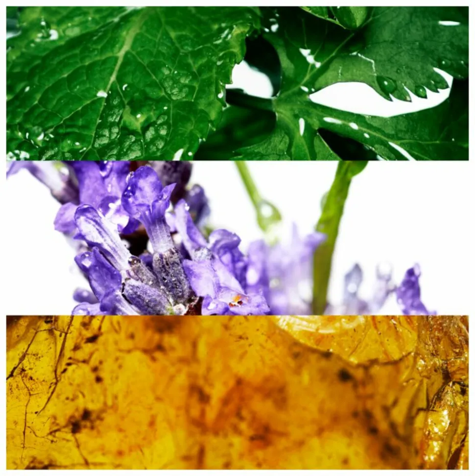 Davidoff Cool Water Eau de Toilette 125 ml