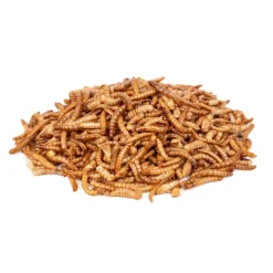 Deli Nature Chix Meelwormen 500 gr