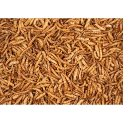 Deli Nature Chix Meelwormen 200 gr