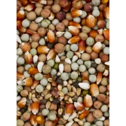 Deli Nature Dovix Kleine Maïs 20 kg