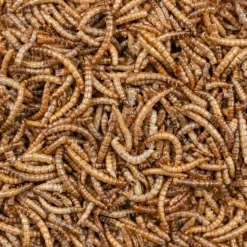 Deli Nature Greenline Meelwormen 200 gr