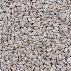 Deli Nature Greenline Peeled Sunflowerseed 850 gr