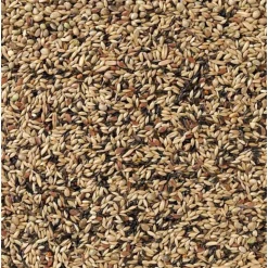 Deli Nature Kweek Zonder Raapzaad Kanarie Nummer 80 20 kg