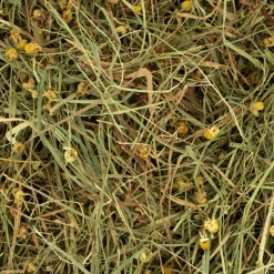 Deli Nature Rodelicious Kruidenhooi Madelief & Paardenbloem 600gr