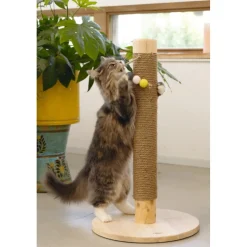 Designed by Lotte Houten Krabpaal Sinora 40 x 40 x 70 cm