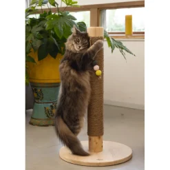 Designed by Lotte Houten Krabpaal Sinora 40 x 40 x 70 cm